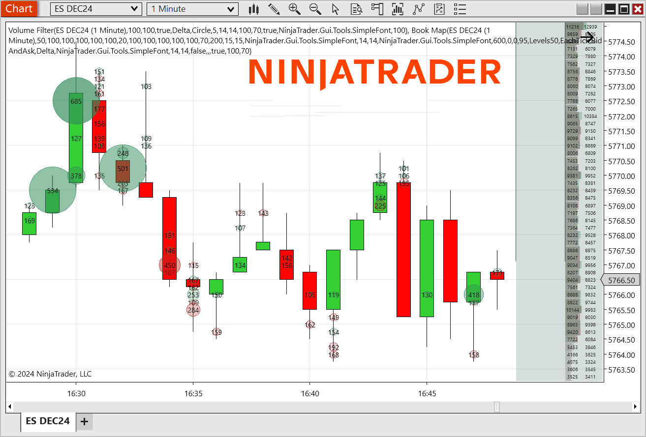 NinjaTrader Bookmap & Order Book Indicator